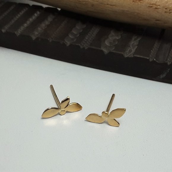 Gold stud 14K yellow gold Earrings for women - Main Image